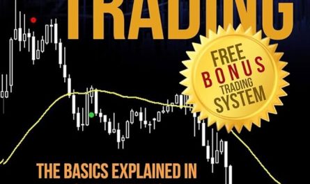 guide to forex trading fundamentals &raquo;