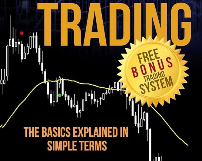 Guide to forex trading fundamentals