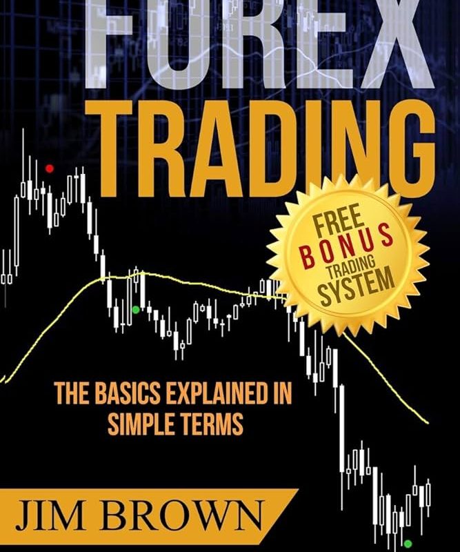 guide to forex trading fundamentals &raquo;