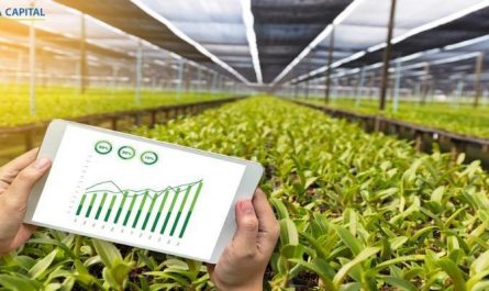 ideas for agriculture sector investments &raquo;