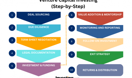 steps for venture capital investing &raquo;