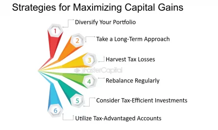 strategies for capital gains optimization &raquo;