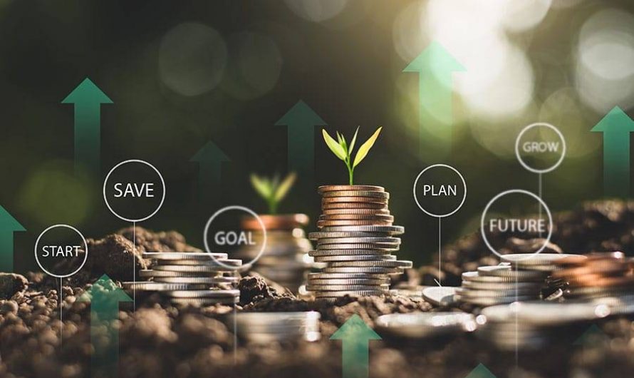 Strategies for wealth preservation