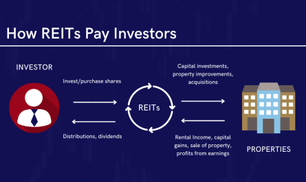tutorial on reits for beginners &raquo;