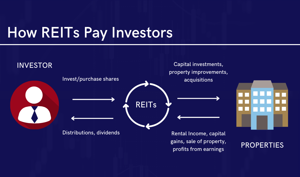 tutorial on reits for beginners &raquo;